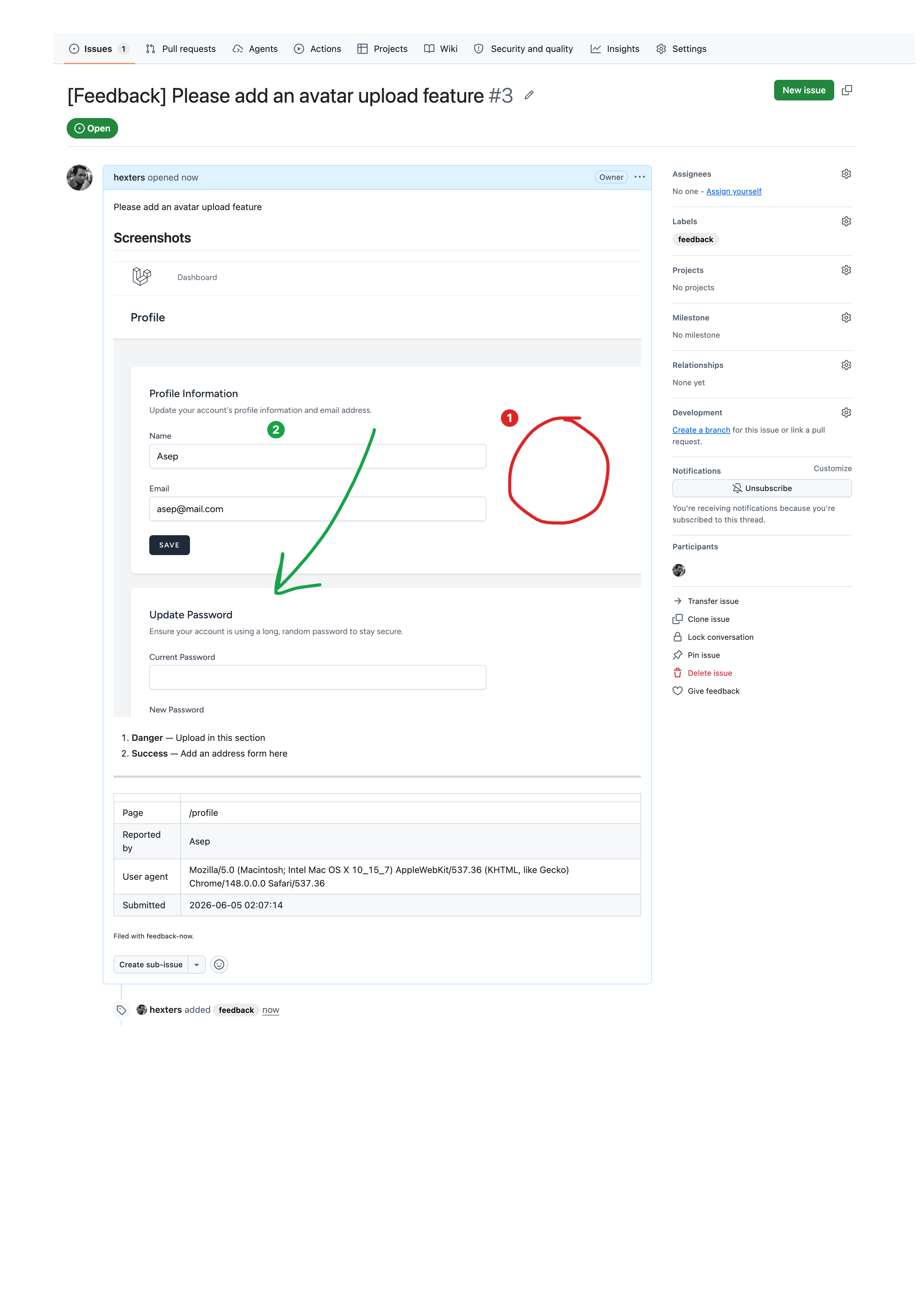 The created issue on GitHub with the annotated screenshot and notes